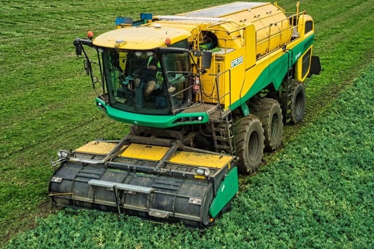 Oxbo Launches GP6300 Next-Generation Pea Harvester